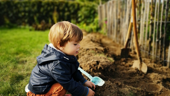 Kindje helpt mee met het aanplanten van een haag